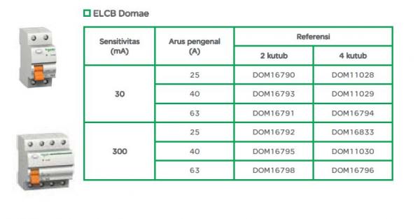 Schneider ELCB Domae
